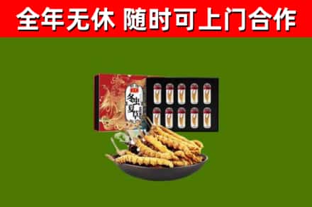 定远县回收冬虫夏草价格