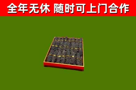 定远县回收海参